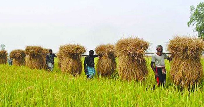 দক্ষিণ এশিয়ায় দ্রুত বর্ধনশীল অর্থনীতিতে দ্বিতীয় বাংলাদেশ দক্ষিণ এশিয়ায় দ্রুত বর্ধনশীল অর্থনীতিতে দ্বিতীয় বাংলাদেশ