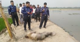 সলঙ্গায় পুকুর থেকে হাত-পা বাঁধা লাশ উদ্ধার সলঙ্গায় পুকুর থেকে হাত-পা বাঁধা লাশ উদ্ধার