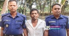 বেলকুচিতে একাধিক মামলার আসামী গাঁজাসহ আটক