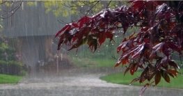 উত্তরাঞ্চলে মাঝারী ধরনের ভারী বর্ষণ হতে পারে