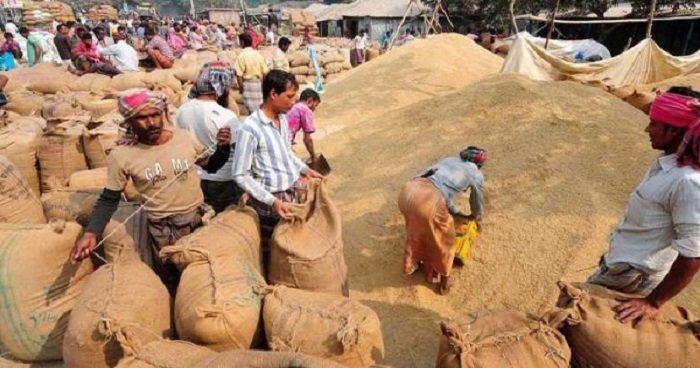 কৃষকদের কাছ থেকে ৬ লাখ টন আমন ধান ক্রয়