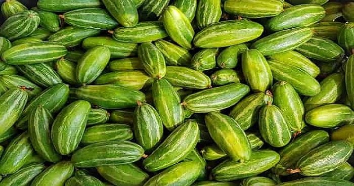 হৃদরোগ ও ডায়বেটিস নির্মূলে পটল! হৃদরোগ ও ডায়বেটিস নির্মূলে পটল!