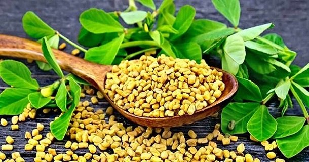 মেথি শাক-এর স্বাস্থ্য উপকারীতা মেথি শাক-এর স্বাস্থ্য উপকারীতা