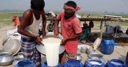 যমুনার চরে মহিষের সঙ্গে ঘর-সংসার যমুনার চরে মহিষের সঙ্গে ঘর-সংসার