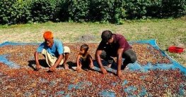 ৬০ হাজার খরচে ৩ লাখ টাকার কফি বিক্রি