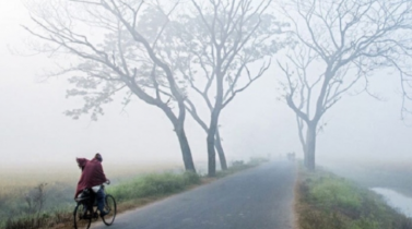 শৈত্যপ্রবাহ নিয়ে যা জানাল আবহাওয়া অফিস