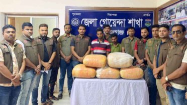 সিরাজগঞ্জে ৪০ কেজি গাজাসহ দুই মাদক কারবারি গ্রেফতার