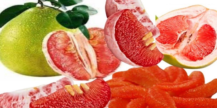 ক্যানসার প্রতিরোধী জাম্বুরার ১০ গুণ