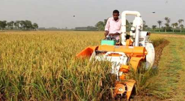সিরাজগঞ্জে কৃষিতে আধুনিক যন্ত্রের ব্যবহার কমছে খরচ বাড়ছে উৎপাদন 