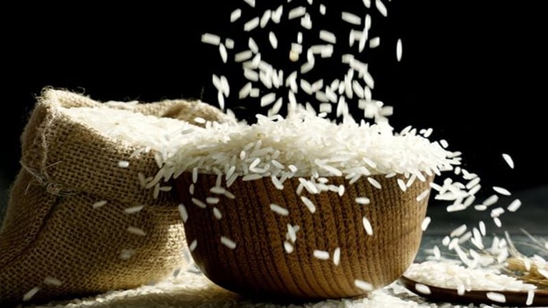 চালের পাত্রে পোকা ধরেছে? সমাধান মিলবে যেভাবে