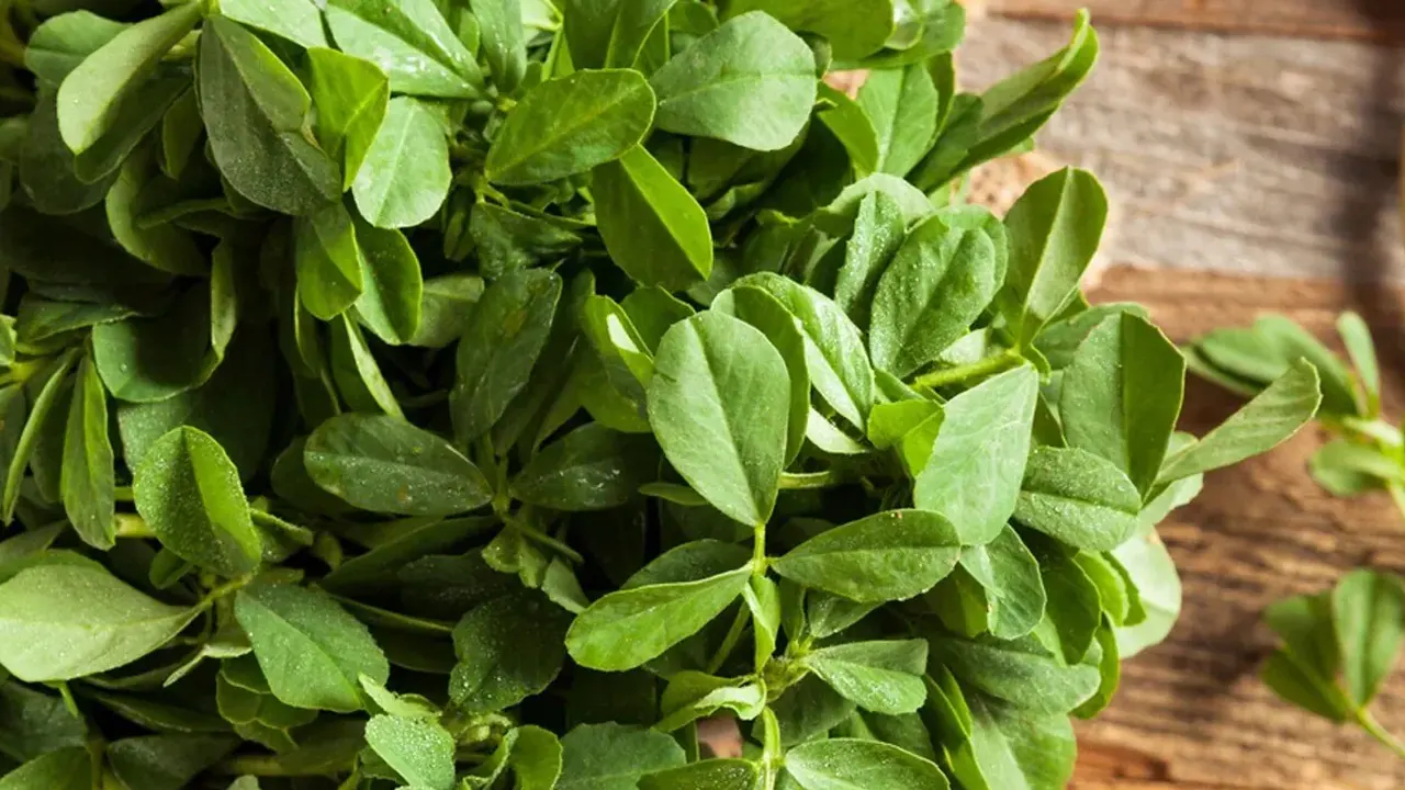 টক পালংশাকের উপকারিতা জানলে খাবেন প্রতিদিন