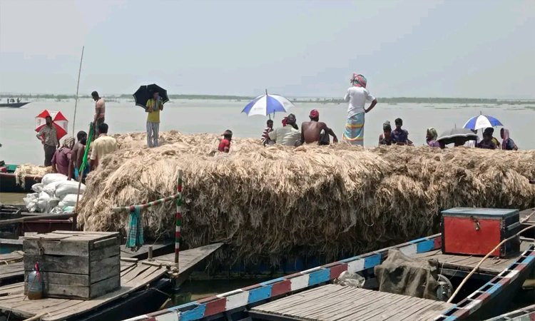 সিরাজগঞ্জের কাজিপুরে নৌকায় বসে পাটের হাট
