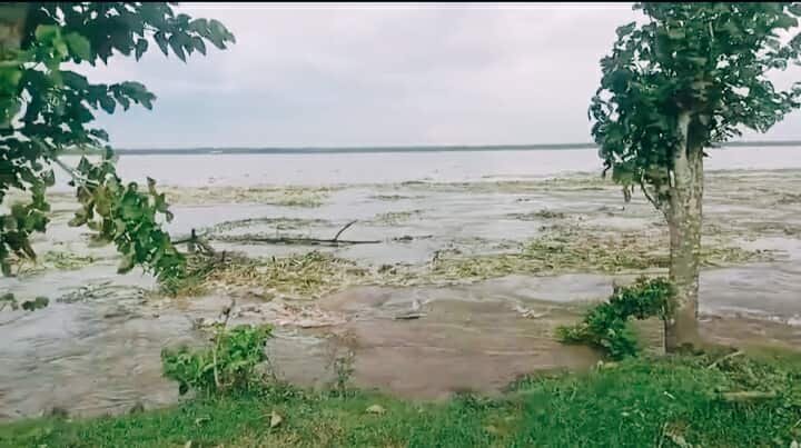 সিরাজগঞ্জে যমুনার পানি বৃদ্ধি, শীতকালীন আবাদ নিয়ে কৃষকের শঙ্কা