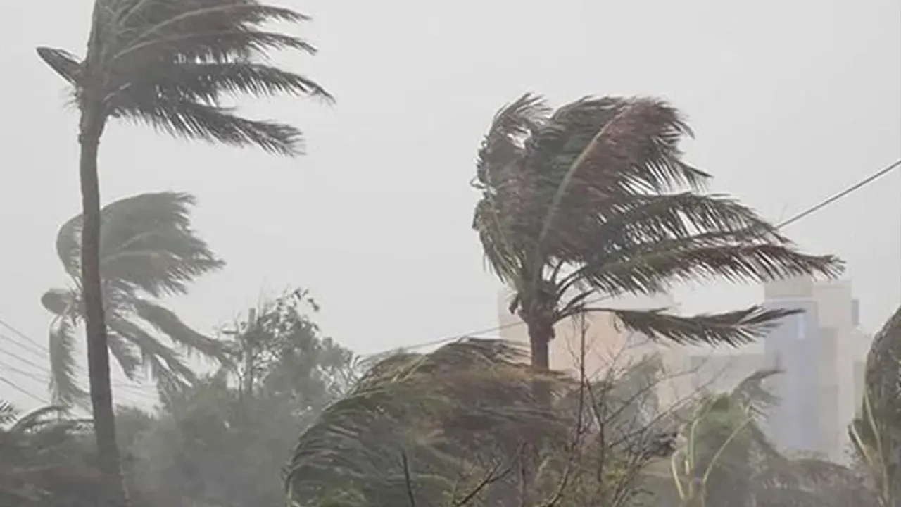 দুপুরের মধ্যে ৬ জেলায় ঝড়বৃষ্টির আভাস দুপুরের মধ্যে ৬ জেলায় ঝড়বৃষ্টির আভাস