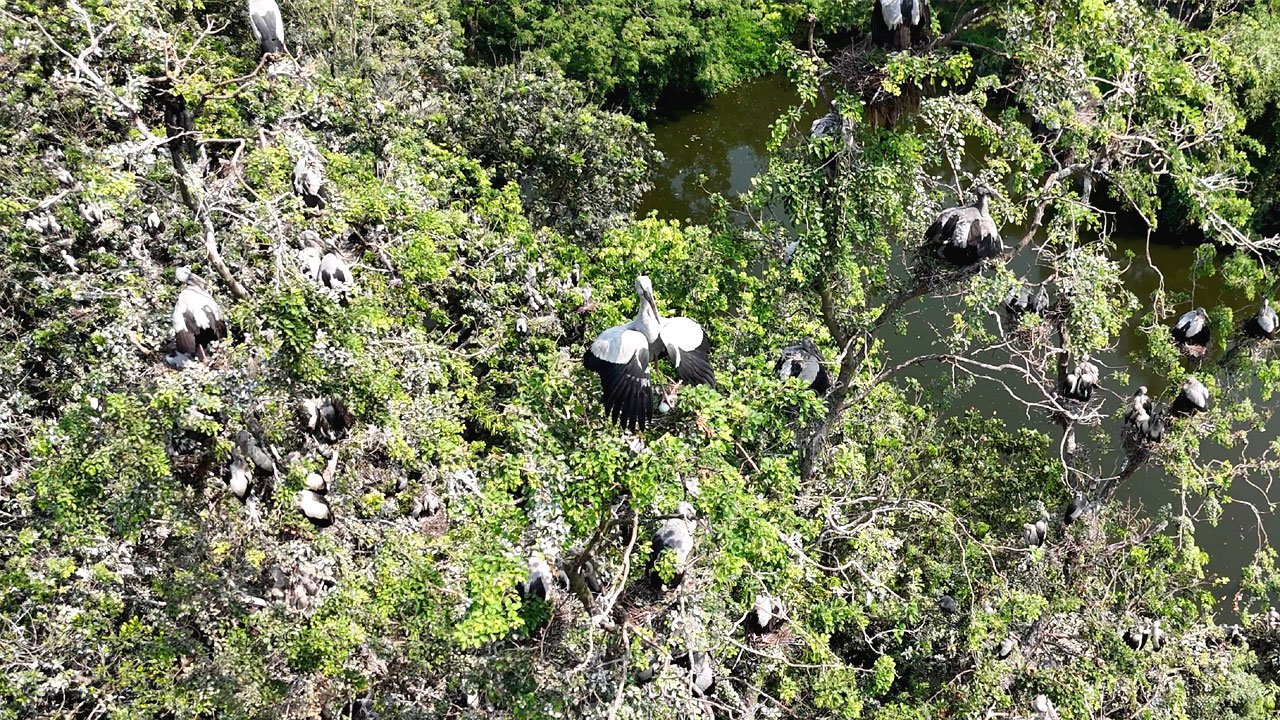 গ্রামটি এখন অতিথি পাখির স্বর্গরাজ্য গ্রামটি এখন অতিথি পাখির স্বর্গরাজ্য