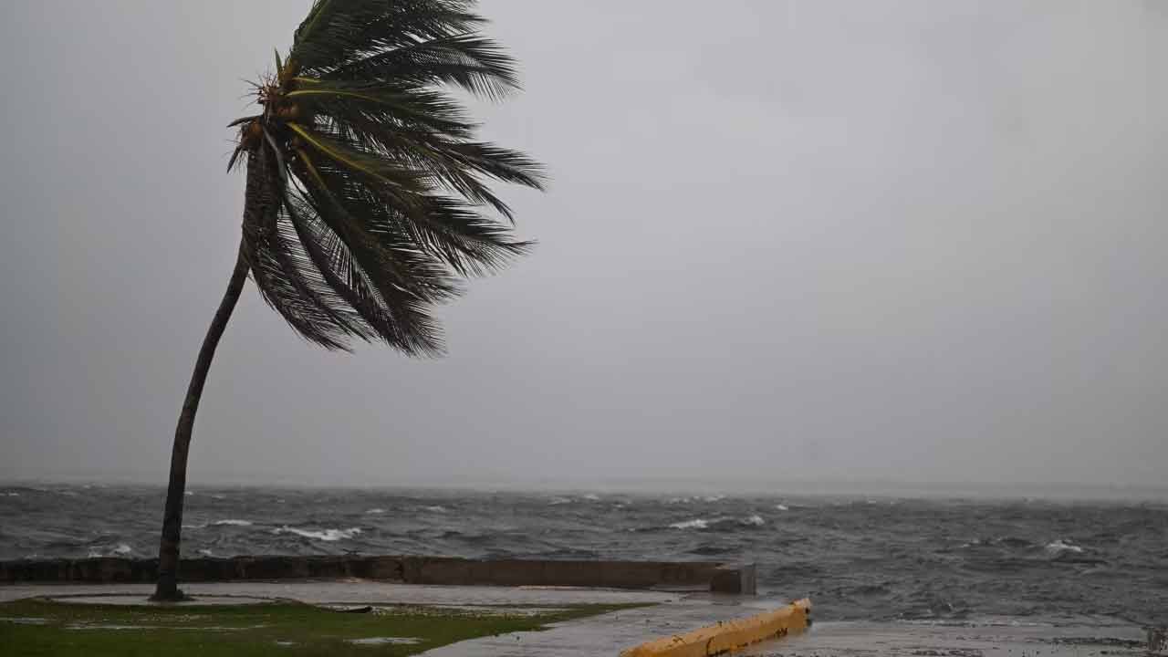 জ্যামাইকায় আঘাত হানতে চলেছে মেলিসা, ধেয়ে আসছে ২৮২ কিমি বেগে জ্যামাইকায় আঘাত হানতে চলেছে মেলিসা, ধেয়ে আসছে ২৮২ কিমি বেগে