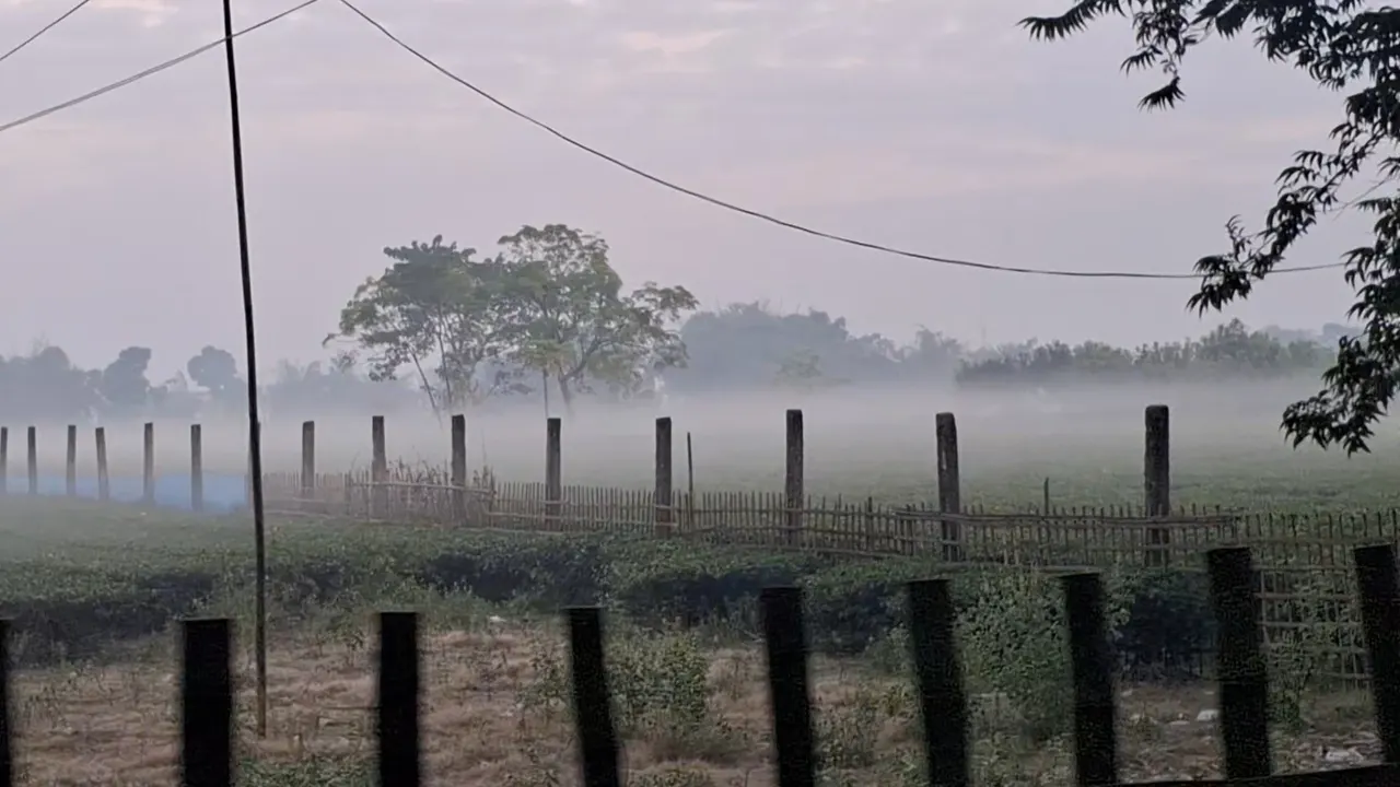 আজও ১৪ ডিগ্রির ঘরে তেঁতুলিয়ার তাপমাত্রা 