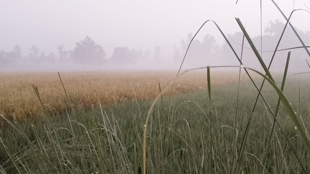নীলফামারীতে ১৪ ডিগ্রি তাপমাত্রা, বাড়ছে শীতের দাপট