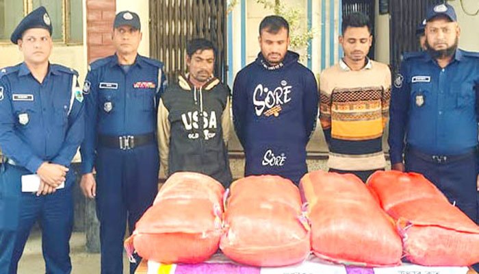 সিরাজগঞ্জে ৪৩ কেজি গাঁজাসহ ৩ কারবারি আটক 