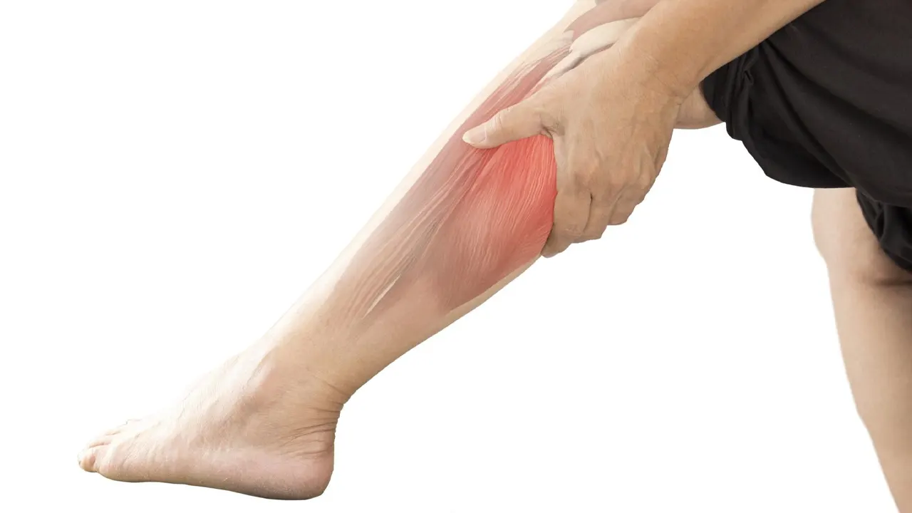 হঠাৎ পেশি কাঁপছে? কখন চিকিৎসকের পরামর্শ জরুরি হঠাৎ পেশি কাঁপছে? কখন চিকিৎসকের পরামর্শ জরুরি