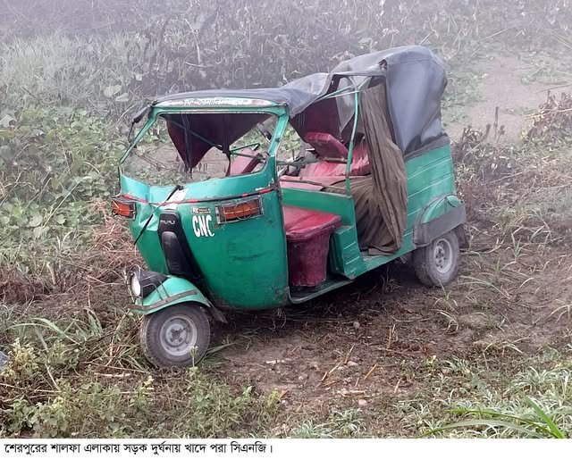 শেরপুরে সড়ক দুর্ঘটনায় সিএনজি যাত্রী নিহত, গুরুতর আহত ১