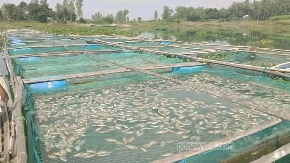 বগুড়া ৫ আসনের বিএনপির এমপির বিরুদ্ধে গুরুতর অভিযোগ।বিপাকে পরিবেশসহ জনজীবন।বিস্তারিত