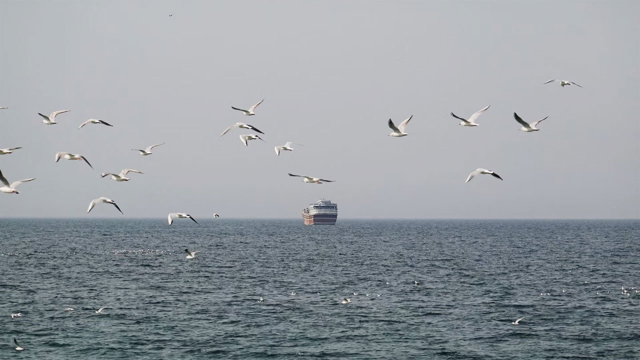 হরমুজ প্রণালী খোলা, তবে সবার জন্য নয় : ইরান