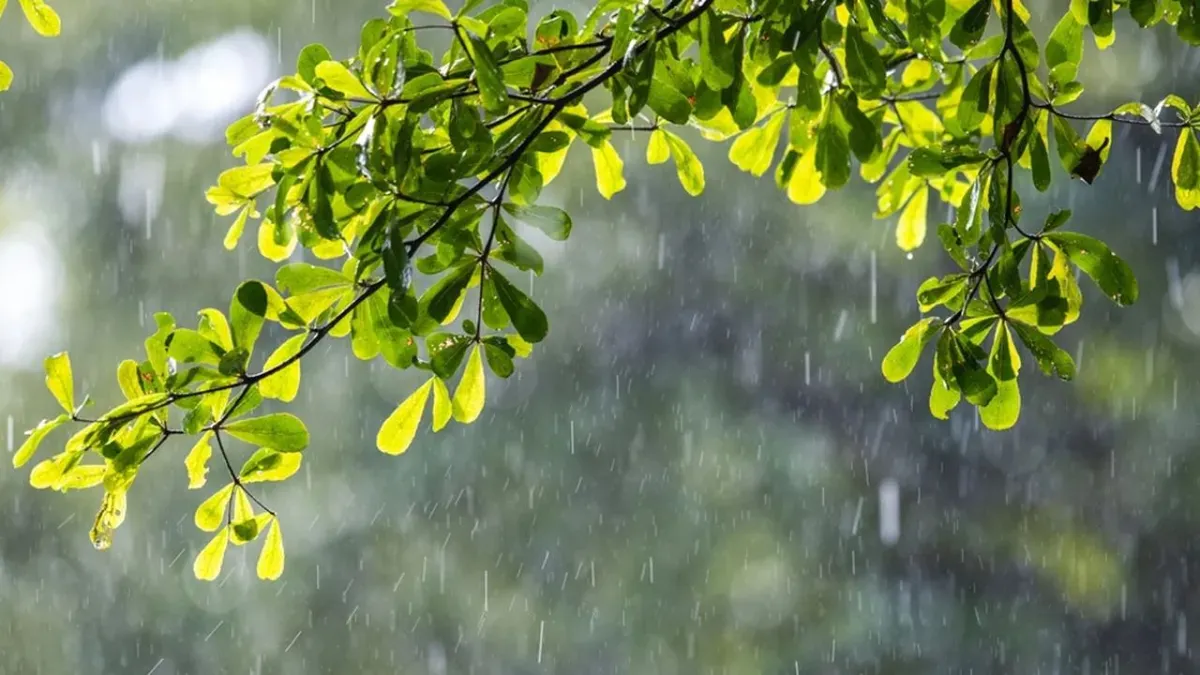 ঢাকায় হালকা বৃষ্টির সম্ভাবনা, বাড়তে পারে দিনের তাপমাত্রা