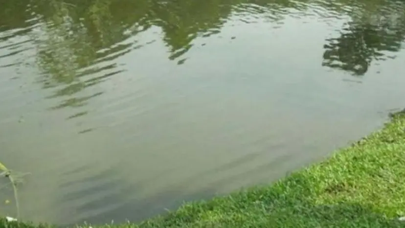 ঈদের ছুটিতে নানা বাড়িতে এসে পানিতে ডুবে দুই শিশুর মৃত্যু