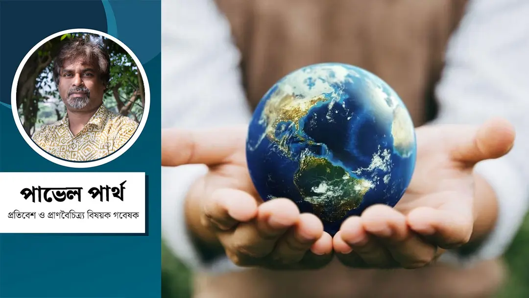 জুলুম ও হেজিমনির বিরুদ্ধে প্রাণ-প্রকৃতির শক্তি