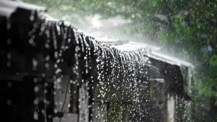 দেশে অতিভারী বর্ষণ : ২৪ ঘণ্টায় রেকর্ড ১৬৫৪ মিলিমিটার বৃষ্টি