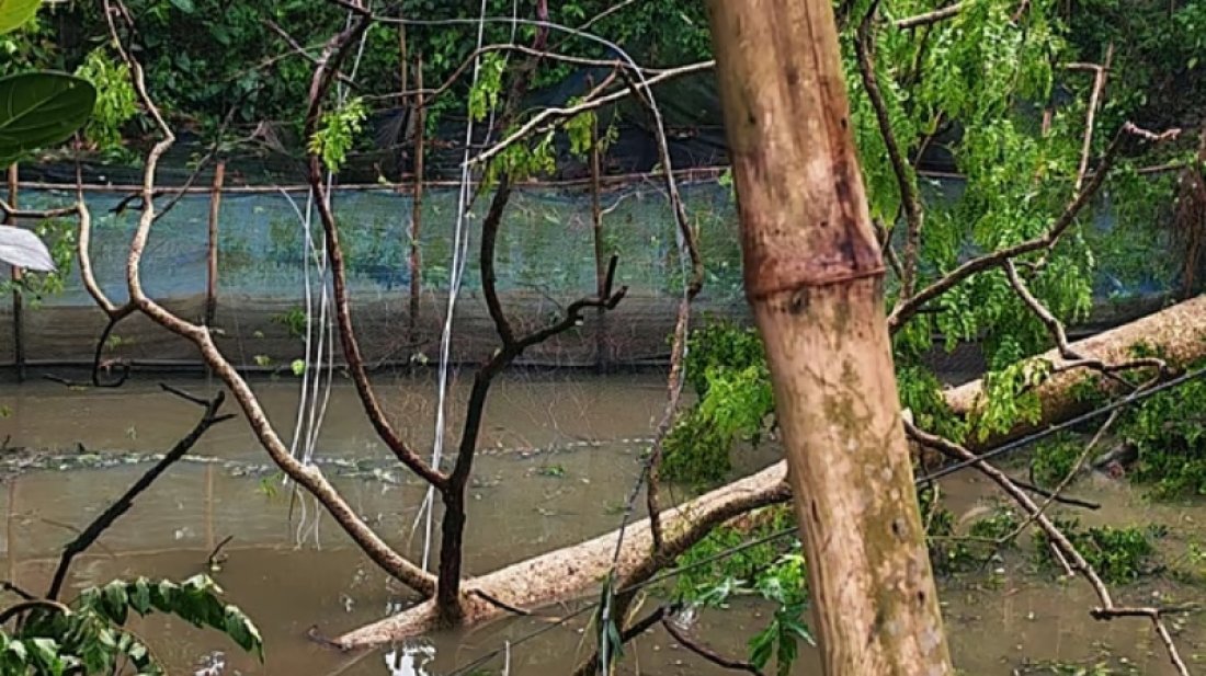 কালবৈশাখীর তাণ্ডবে জয়পুরহাটে বিদ্যুৎহীন ৭৫ গ্রামের ৩০ হাজার গ্রাহক