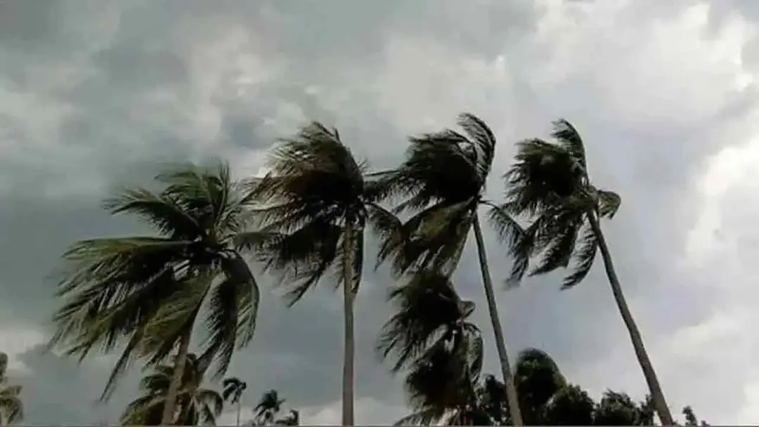 ৫ অঞ্চলে ঝড়-বৃষ্টির আভাস, নদীবন্দরে সতর্ক সংকেত ৫ অঞ্চলে ঝড়-বৃষ্টির আভাস, নদীবন্দরে সতর্ক সংকেত