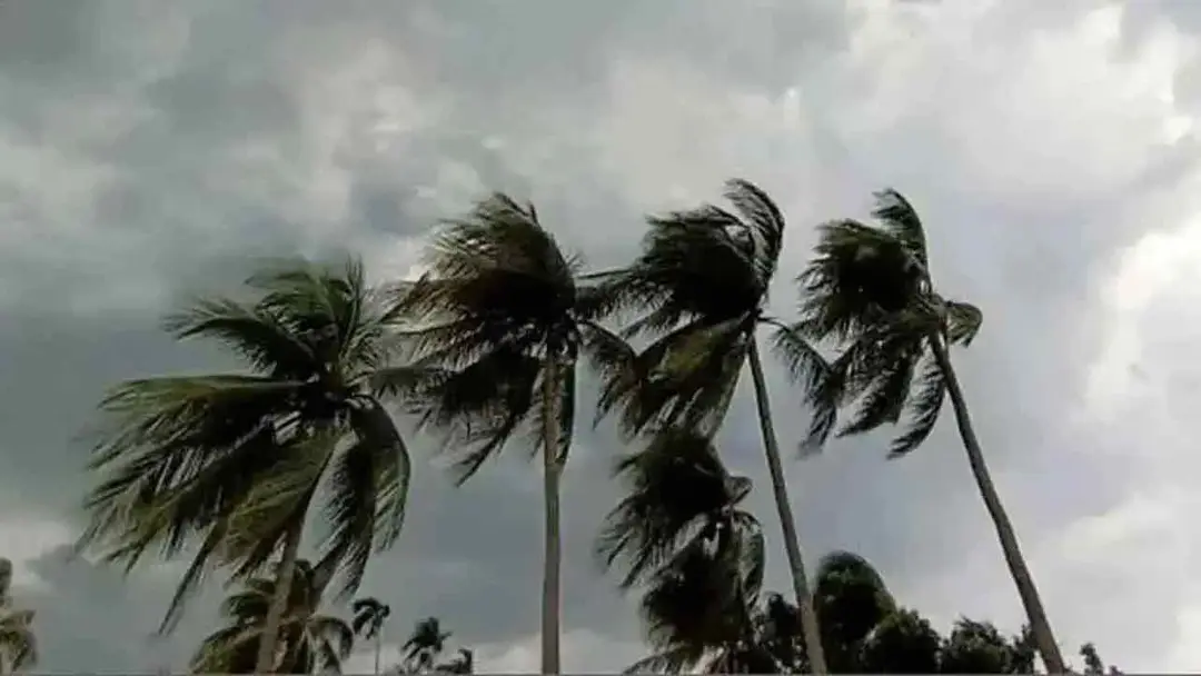 সন্ধ্যার মধ্যে দেশের ৮ অঞ্চলে ঝড়ের আভাস সন্ধ্যার মধ্যে দেশের ৮ অঞ্চলে ঝড়ের আভাস
