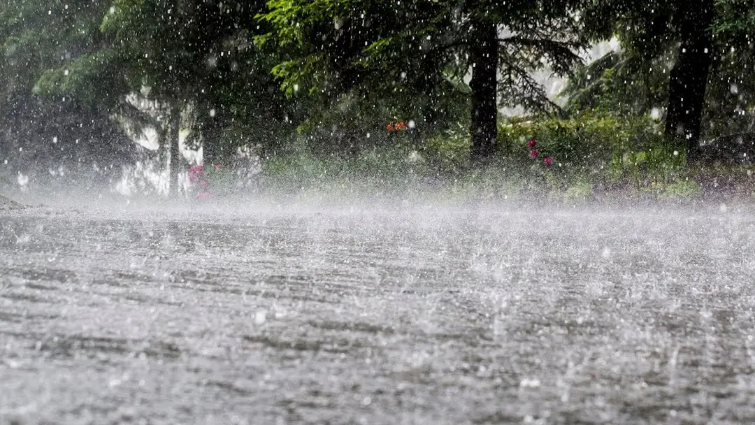 ৪৮ ঘণ্টায় ভারী বৃষ্টির আভাস, হতে পারে জলাবদ্ধতা