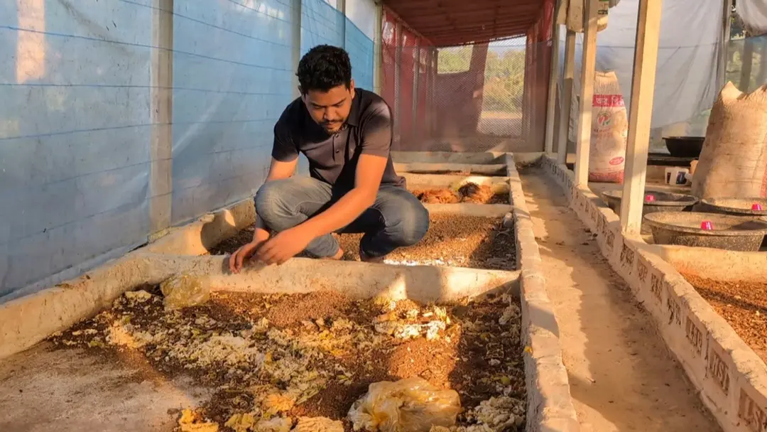 হাঁসের খামারের লোকসান ভুলে পোকা চাষে সাফল্য, মাসে আয় ২ লাখ